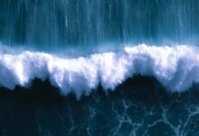 Sea heat waves