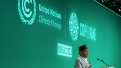 Cop28 Climate Summit