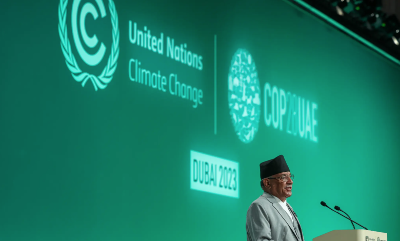 Cop28 Climate Summit