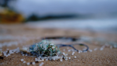 removing microplastics