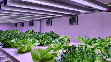 Biolelectronic hydroponics