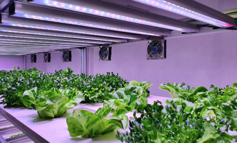 Biolelectronic hydroponics