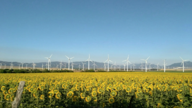 Renewable electricity EU