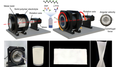 polymer solid electrolytes