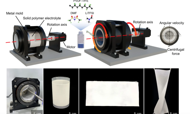 polymer solid electrolytes