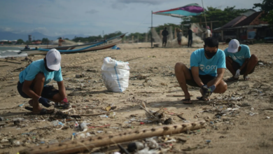 microplastic pollution