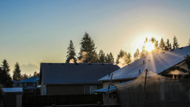 Photovoltaic roofs