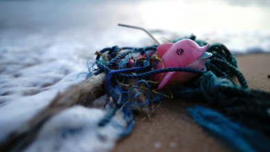 The plastic on the seabed